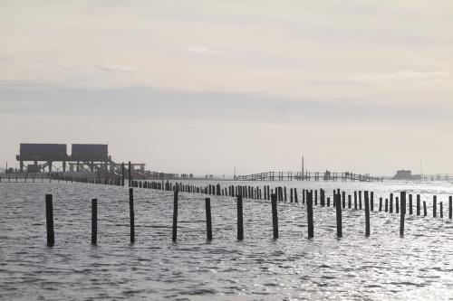 st_peter_ording_okt_23_©johannes_kaiserL1000288.jpg